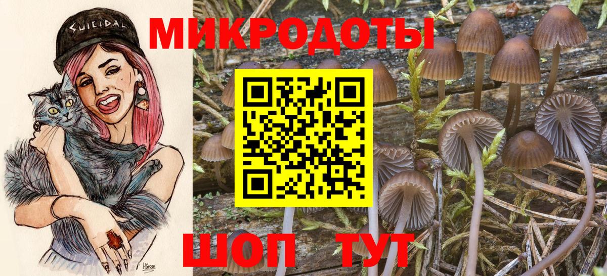Псилоцибиновые грибы MAGIC MUSHROOMS Гусиноозёрск