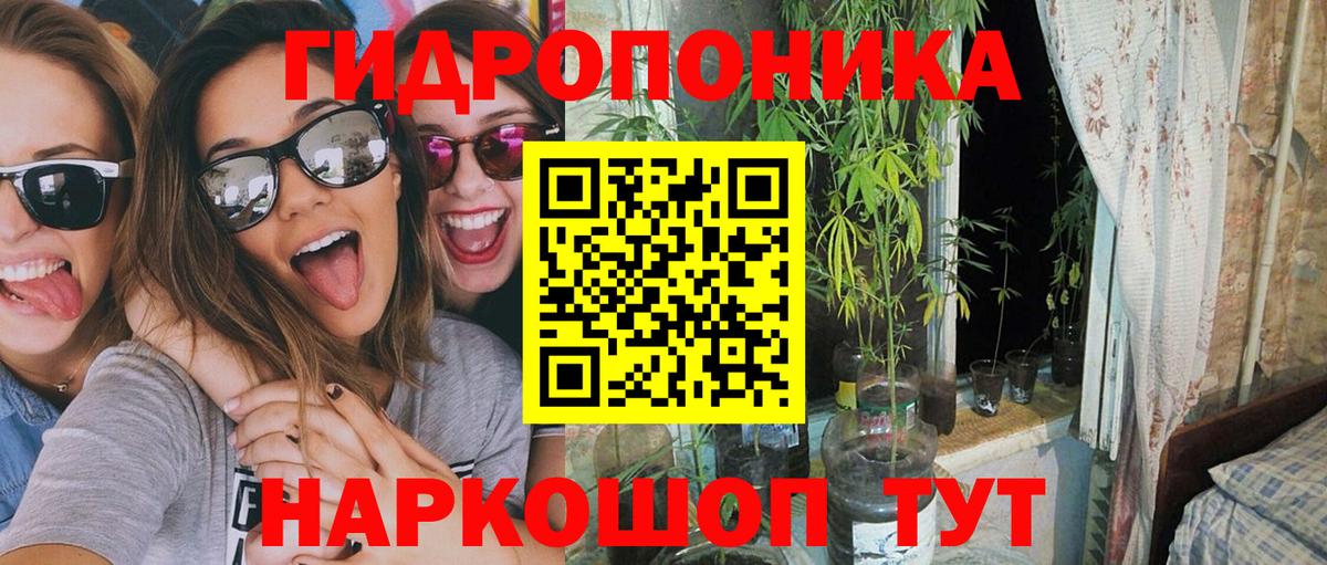 Конопля сатива  Вход с VPN  Конопля LSD WEED  Гусиноозёрск 